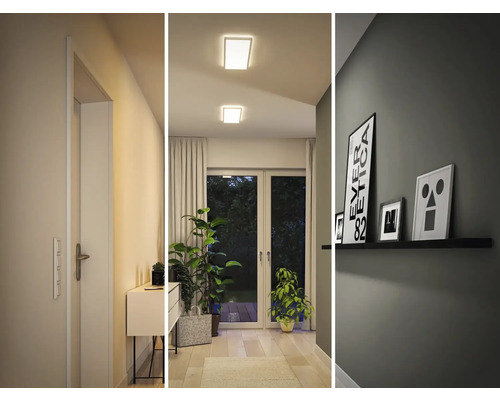 Hall med dörr, byrå, krukväxter, taklampor och vägghylla med bilder