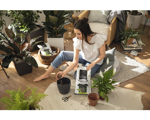 En kvinna planterar om krukväxter med Lechuza Pon odlingssubstrat i ett ljust rum.