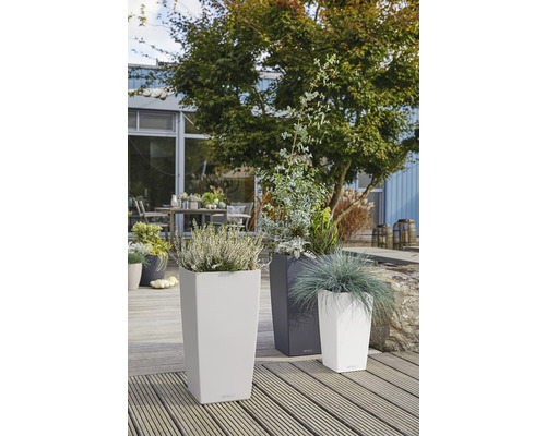 Tre höga planteringskärl med växter på en träterrass.
