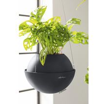 Självvattnande blomampel LECHUZA Bola Color 32 plast Ø32x25cm skiffergrå inkl. substrat