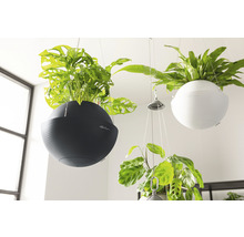 Självvattnande blomampel LECHUZA Bola Color 32 plast Ø32x25cm skiffergrå inkl. substrat