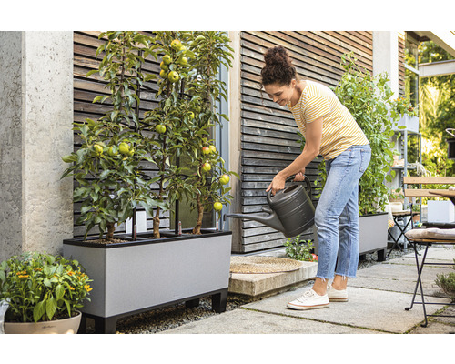 Kvinna vattnar äppelträd i en blomlåda på en terrass