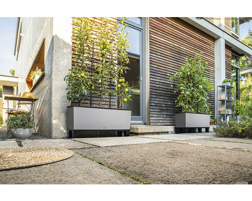 Miljöbild med två grå planteringslådor med spaljéer framför ett hus.