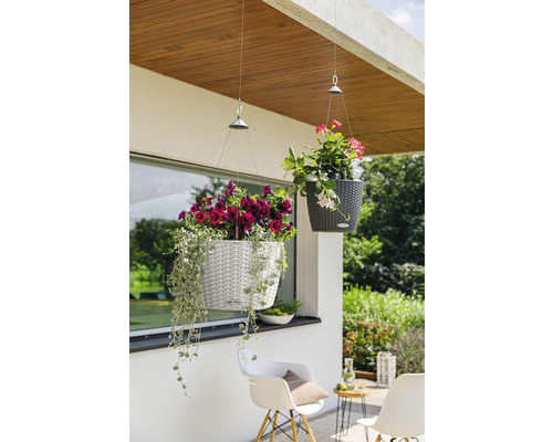 Scen med två hängande planteringskärl med blommor utomhus