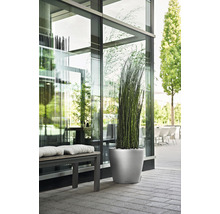 Självvattnande blomkruka LECHUZA Classico Premium plast Ø60x55,5cm silver inkl. substrat