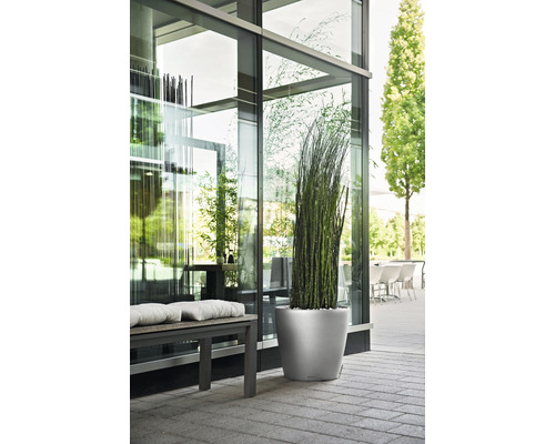 Dekorativ växt i en planteringslåda bredvid en sittbänk framför en byggnad med glasfasad.