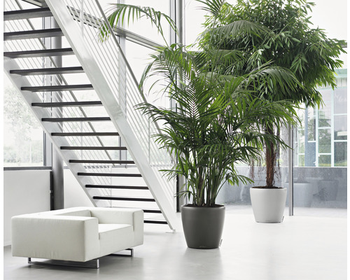 Ljus hall med trappa, fåtölj och krukväxter i krukor