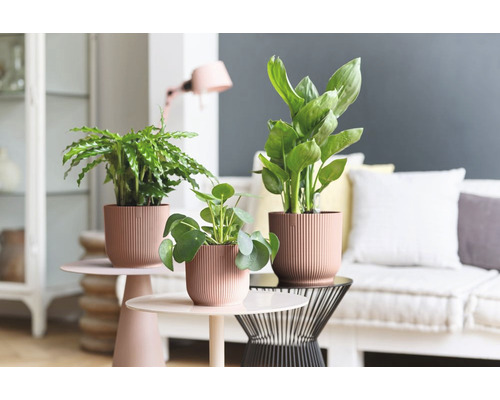 Inomhusväxter i strukturerade krukor på sidobord i vardagsrummet