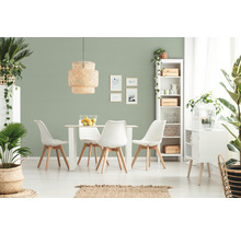 Ljus matsal med matbord, stolar, pendellampa, hylla och krukväxter