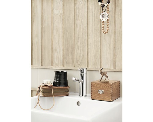 Badrumshandfat med kran och dekorativa föremål framför en trävägg