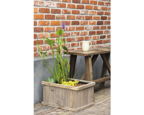 Minidamm FLORASELF ’Brussels Brown’ med växter inkl. drivring 40cm trälåda, volym 15L