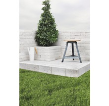 Trädgårdsscen med växt, vattenkanna och pall på gräsmatta