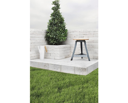 Trädgårdsscen med växt, vattenkanna och pall på gräsmatta