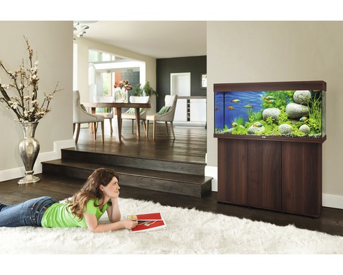 Vardagsrum med akvarium på underskåp och en kvinna på en matta