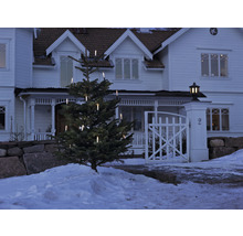 Belyst julgran framför ett hus