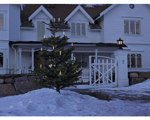 Belyst julgran framför ett hus