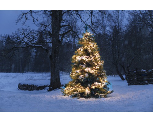 Dekorerad julgran i snöig utomhusmiljö med belysning