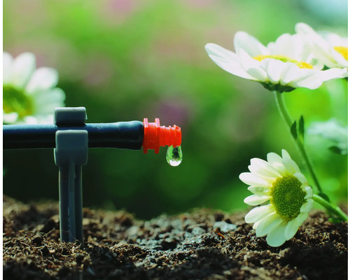 Droppbevattningssystem i drift med vattendroppar och växter