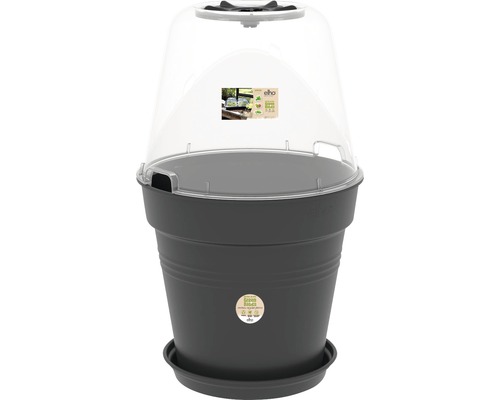 Odlaingskruka med transparent lock och fat