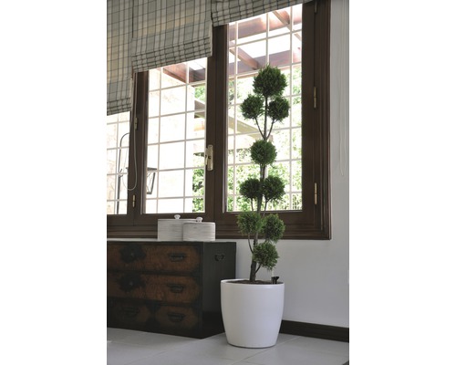 Dekorativ formklippt träd i kruka framför ett fönster och en byrå