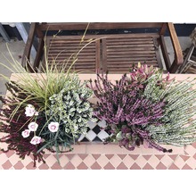 Blomlåda med ljung och prydnadsgräs på en terrass