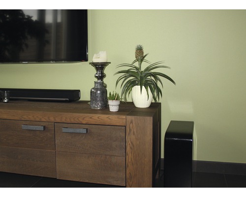 Vardagsrumsscen med TV-möbler, krukväxt och dekoration