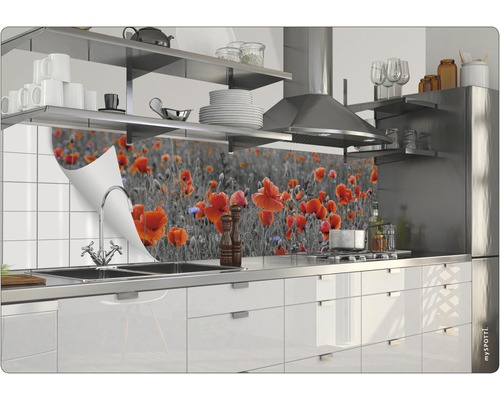 Stänkskydd med vallmomotiv bakom en diskho i ett modernt kök.