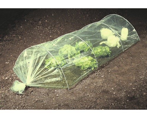 Litet växthus över salladsplantor i trädgården