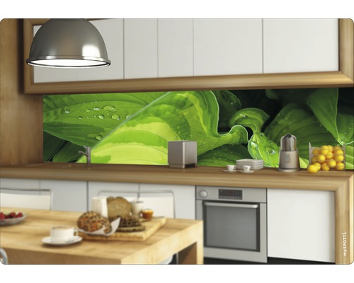 Köksscen med stänkskydd med växtmotiv, köksredskap och matvaror på en arbetsbänk.