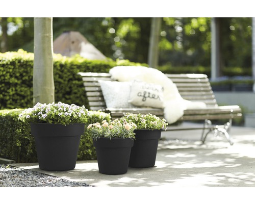 Tre planterade blomkrukor i trädgården