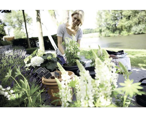 Kvinna planterar blommor i krukor i trädgården.