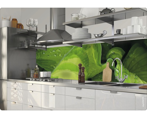 Köksscen med diskho, spishäll, köksfläkt och köksbänksskiva med växtmotiv