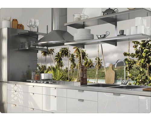 Köksscen med diskho, spishäll och ett kökspanel med palmmotiv