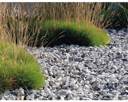 Trädgårdsdesign med dekorativt grus och gräs