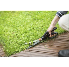 Grässax används för att klippa gräs vid ett trägolv