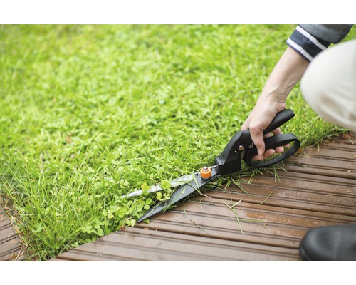 Grässax används för att klippa gräs vid ett trägolv