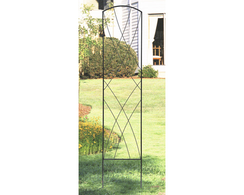 Metallobelisk som trädgårdsdekoration och klätterhjälp för växter