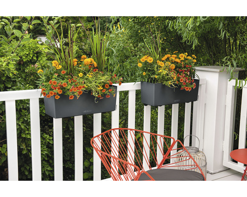 Balkongscen med två blomlådor på ett vitt räcke och en röd stol
