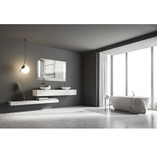 Badrumsspegel med belysning DSK Silver River 100x70cm IP 24