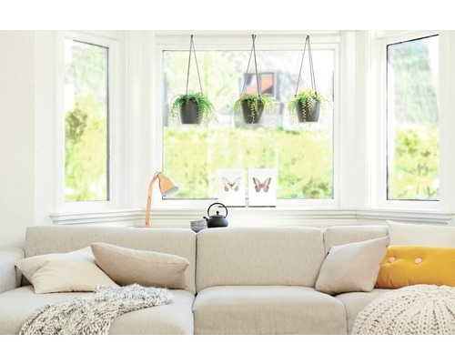 Ljust vardagsrum med hörnsoffa, fönster och hängande krukväxter