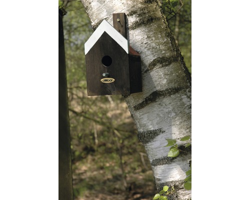 Fågelholk av trä på trädstammen