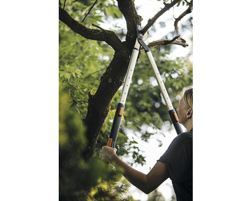 Kvinna beskär trädgrenar med en hävstångsgrensax