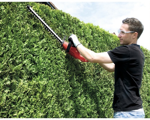 En person klipper en häck med en häcksax.