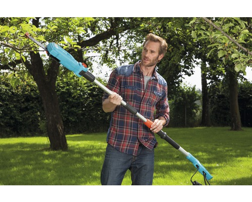 Man beskär träd med en stångsåg