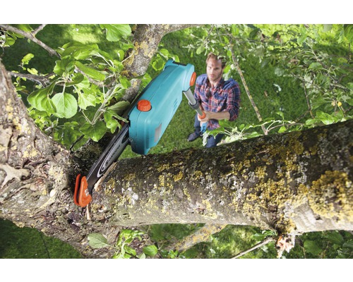 Man använder en stångsåg för att beskära en gren.