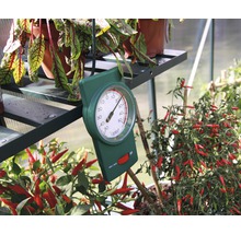 En växthusstermometer visar temperaturen i växthuset.