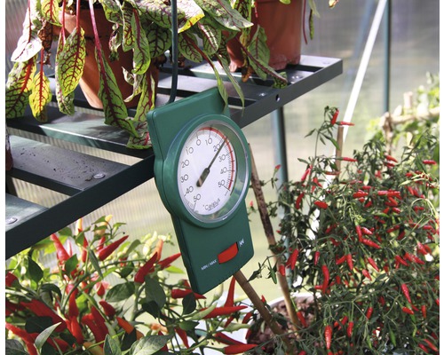 Min/max-termometer VITAVIA Min/max-termometer VITAVIA