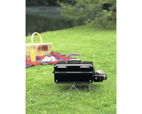 Bärbar gasolgrill på en gräsmatta med picknickkorg