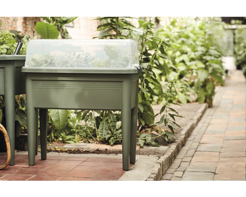 Pallkrage med transparent lock i trädgården