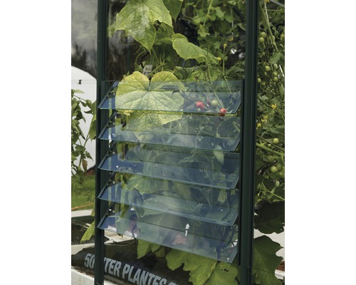 Jalusifönster VITAVIA med härdat säkerhetsglas grönt Jalusifönster VITAVIA med härdat säkerhetsglas grönt